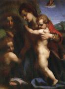 Andrea del Sarto Our Lady of sub France oil painting artist